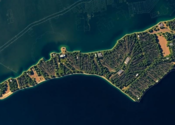 Satellites reveal accelerating ghost forest loss on North Carolina’s coast