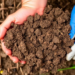 Discarded Rubber Gloves Could Give Farm Soil a Surprising Boost