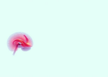 Physicists’ Reaction-Diffusion Equations Inspire Sharper AI for Skin Cancer Diagnosis