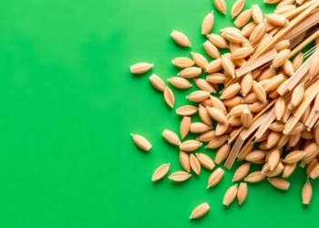 New Hulless Barley DWRB 223 Packs Beta-Glucan Punch for Health Foods