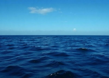 Ocean carbon removal rethink: local alkalinity projects beat global geoengineering dreams
