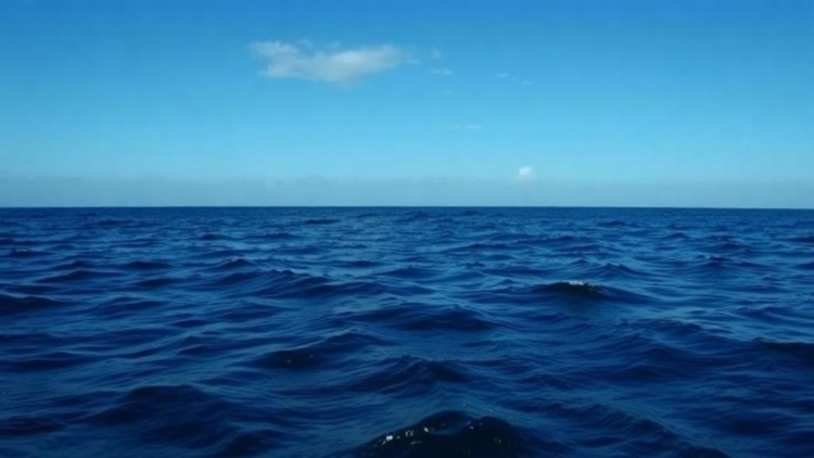 Ocean carbon removal rethink: local alkalinity projects beat global geoengineering dreams