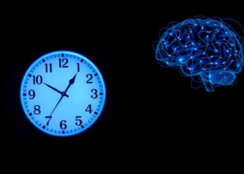 Light Talks Directly to the Hypothalamus, Rewriting the Rules of the Body Clock