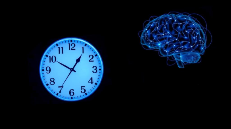 Light Talks Directly to the Hypothalamus, Rewriting the Rules of the Body Clock