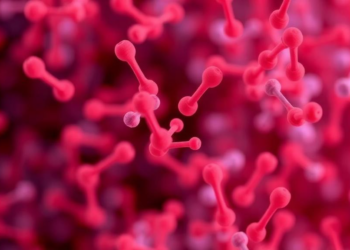 Antibodies, Not Just Abundance: IgA Surveillance Emerges as a Hidden Architect of the Gut Microbiome