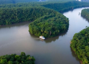 Brazil’s Lifeline River Faces a Forest Future in Peril, New 2050 Models Warn
