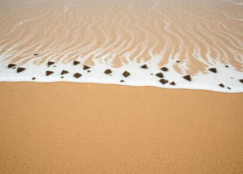 Beach Sand Harbors More Fecal Bacteria Than the Water at Río de la Plata Beaches
