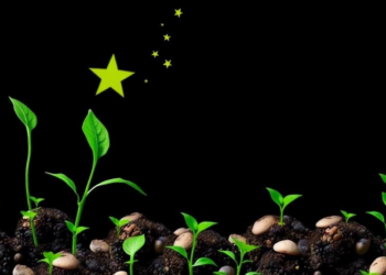 Green Finance Rules Push China Toward a Circular Economy, But Markets Lag Behind