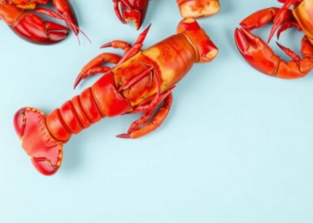 Lessons From the Past Could Shape the Future of Lobster Forecasting