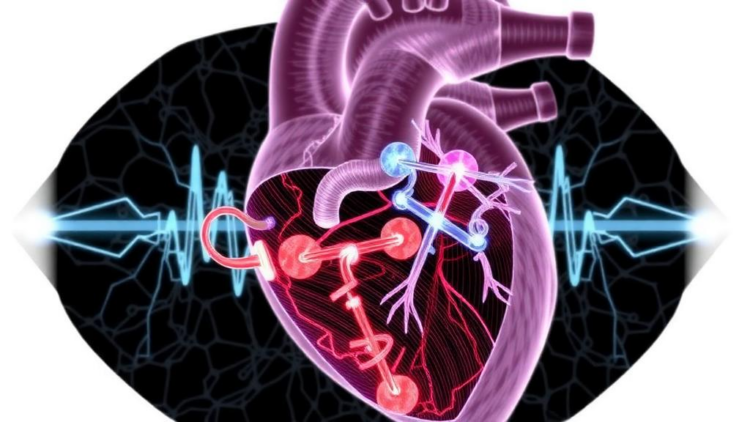 Hidden Heart Pathway Behind Failed Pulsed Field Ablation Revealed in Rare Case
