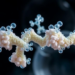 Heat-proof sugar enzyme gets a power boost through two tiny mutations