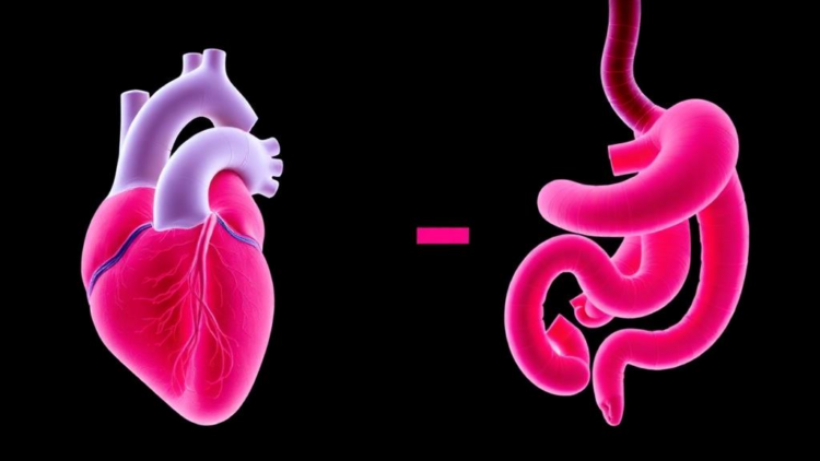 Rare Chromosome 19p13.3 Deletion Linked to Fatal Infant Heart and Gut Complications
