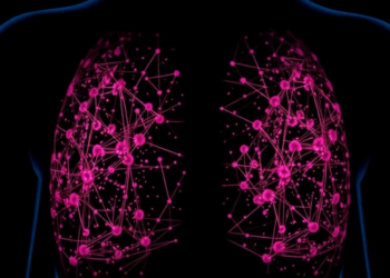 Rough Set Theory Trims the Data Needed to Flag HER2-Positive Breast Cancer