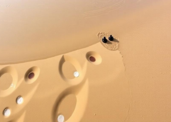 Scavenger Wells Nearly Triple Freshwater Yields in Dutch Coastal Dune Aquifer Trial