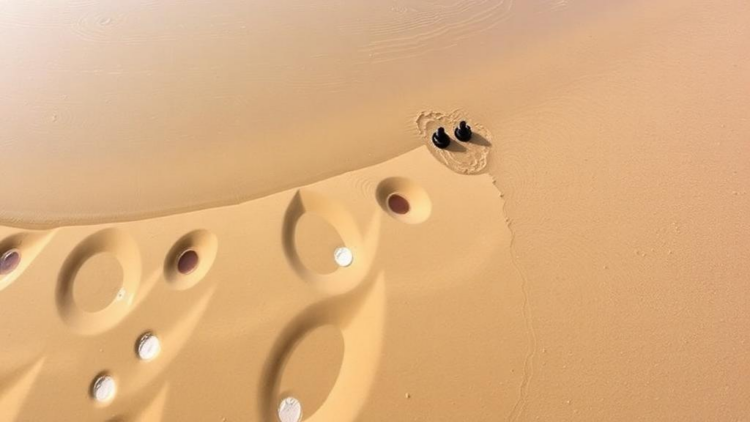 Scavenger Wells Nearly Triple Freshwater Yields in Dutch Coastal Dune Aquifer Trial
