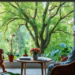 Green Views at Home Linked to Sharper Minds in Older Adults, Nanjing Study Finds