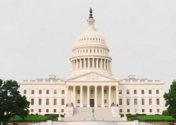 One in Three Americans Cannot Name All Three Branches of Government, Survey Finds