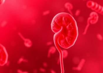 Rising RNA Signal in Blood May Track Diabetic Kidney Damage in Egyptian Patients