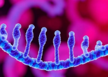 Securin Gene PTTG1 Emerges as Engine of Gastric Cancer’s Stepwise March