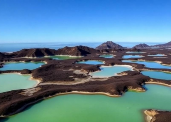 Volcanic Lakes on a Remote Atlantic Island Reveal How Microbes Steer Greenhouse Gas Emissions