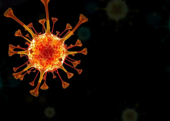 Nanoblade Device Reveals How Cells Prioritize Repair of Ruptured Nuclei