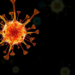 Nanoblade Device Reveals How Cells Prioritize Repair of Ruptured Nuclei