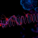 Cell cycle clock controls RNA methylation through a hidden ubiquitin code