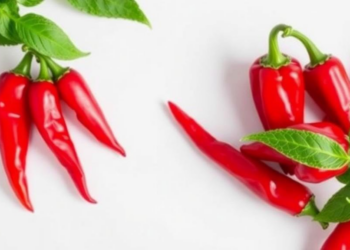 Red Pepper Plant Compounds Show Promise Against Cavity-Causing Microbes