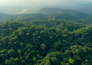 Lidar’s Hidden Price Tag: Why Mapping Tropical Forests Raises Hard Ethical Questions