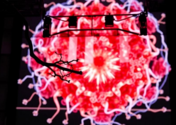 Cellular Senescence Takes Center Stage as ICSA Gathers Global Aging Researchers in Seoul