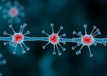 Histone readers MLLT1 and MLLT3 concentrate AID to confer locus specificity