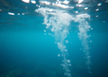 New AI Model Sees Clearly Underwater by Treating Blurry and Sharp Features Differently