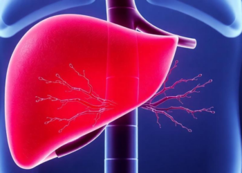 Chemoembolization Reshapes the Liver’s Smallest Arteries, Study Finds