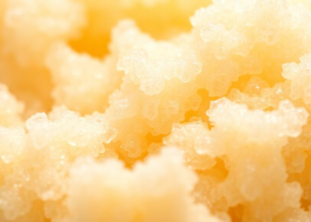 Starch Nanocrystals and Plant Proteins Team Up to Keep Food Foams Alive for Hours