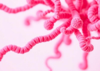 Cancer Death Rates Fall 35% as FDA Approves 11 New Drugs, AACR Report Finds