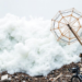 AI Turns Tsunami Evacuation Logs into Stories, But a New Audit Reveals Its Flaws