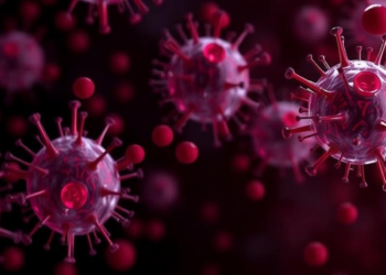 Blood Cells Rewound: Direct Neural Conversion Slowly Erases Epigenetic Age