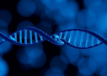 Barcode-Based Mutagenesis Assay Reveals Strand-Bias Rules Behind Oxidative DNA Damage