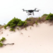 Drones and a Dwarf Juniper Reveal How Japan’s Coastal Dunes Are Quietly Vanishing