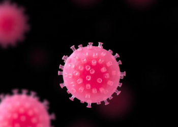 Lab-Grown Ovarian Spheroids Reshape Endometrial Tissue Beyond What Hormones Alone Can Do