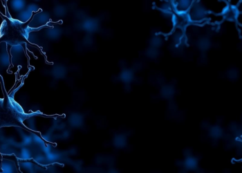 Two Years of Ofatumumab Reshapes the Immune Landscape in Multiple Sclerosis