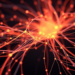 Breathable fibre networks could make wearable and implantable electronics truly at home in the body