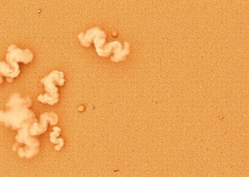 Tracing Windblown Dust: New Study Maps Where Texas Particle Pollution Comes From