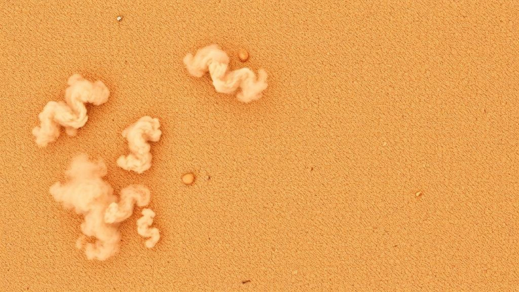 Tracing Windblown Dust: New Study Maps Where Texas Particle Pollution Comes From