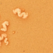 Tracing Windblown Dust: New Study Maps Where Texas Particle Pollution Comes From