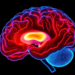 Enlarged Choroid Plexus Reveals Hidden Brain Inflammation in Small Vessel Disease