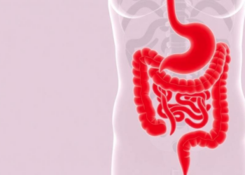 Lactate Fuels a Deadly Feedback Loop That Drives Gut Damage in Ulcerative Colitis