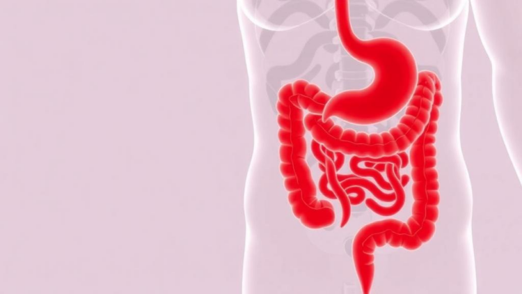Lactate Fuels a Deadly Feedback Loop That Drives Gut Damage in Ulcerative Colitis