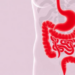 Lactate Fuels a Deadly Feedback Loop That Drives Gut Damage in Ulcerative Colitis