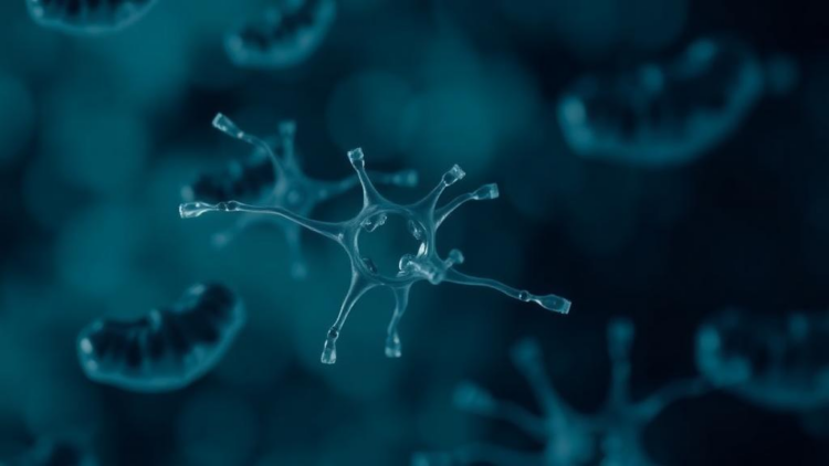 Fifteen Years of Data Reveal an Alarming Rise of Drug-Resistant E. coli Across Iran